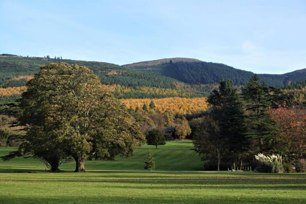 Kilbroney River Cottage Rostrevor Kültér fotó
